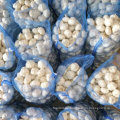 New Crop Frisch Schneewittchen Knoblauch aus China